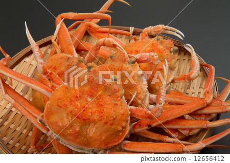 A son of a snow crab 12656412