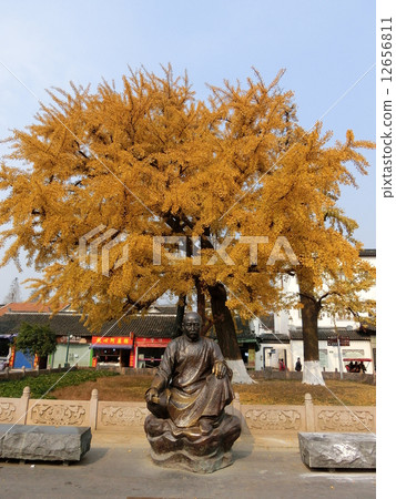 上海張卡加 上海張卡加 12656811