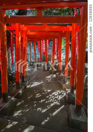 Ozaka Oji Inari神社 12656893