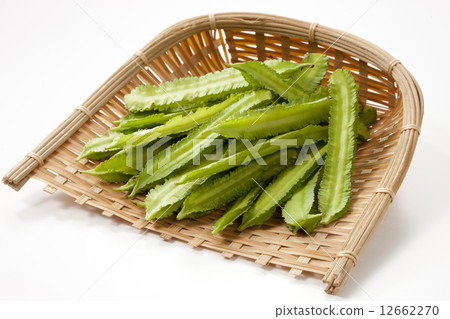 翅豆 12662270