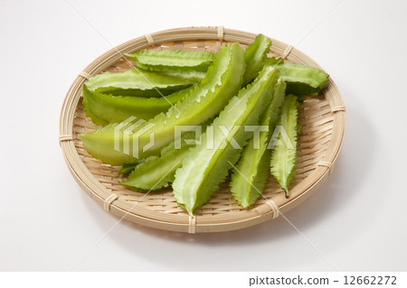 翅豆 12662272