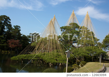 Karasaki Matsu 12663094