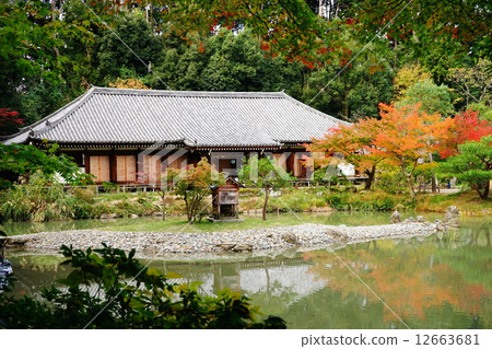 Joruri Temple 12663681