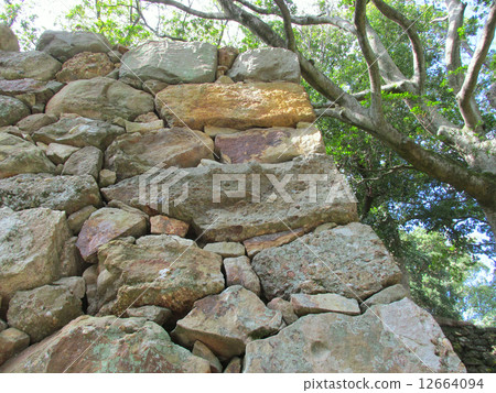 Sumoto Castle Ruins Ishigaki 12664094