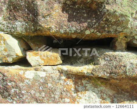 洲本城遺址石垣 12664111