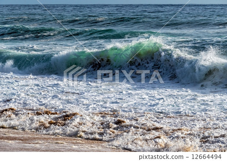 Wave of the Sea on the Sand Beach Wave of the Sea on the Sand Beach 12664494