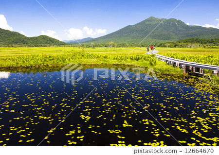 走路的Oze 12664670