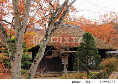 Heikei no Sato in Autumn 12665071