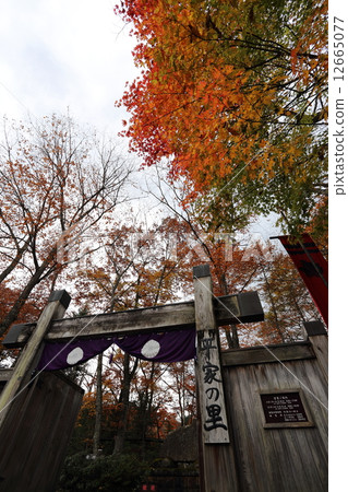 Heikei no Sato in Autumn Heikei no Sato in Autumn 12665077