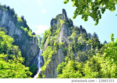 Fresh green sounkyo Fresh green sounkyo 12665153