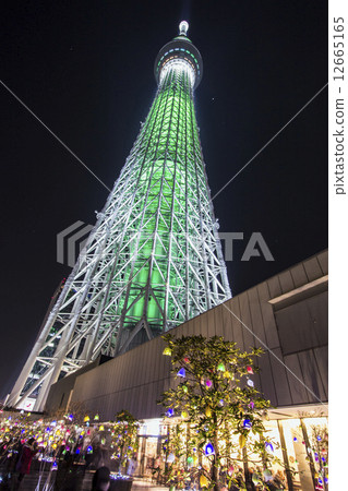 Sky tree  12665165