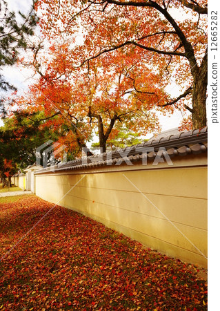 Autumn · Fallen leaves falling from the wall · Traditional Nara traditional school Tokorozaki Autumn · Fallen leaves falling from the wall · Traditional Nara traditional school Tokorozaki 12665282