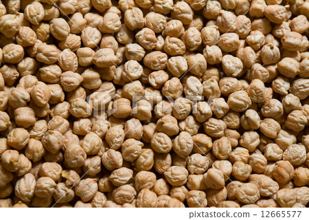 chickpea 12665577