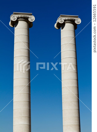Column 12665591