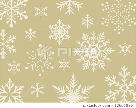 雪花 積雪 下雪 12665889