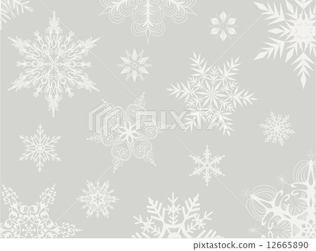 雪花 積雪 下雪 12665890
