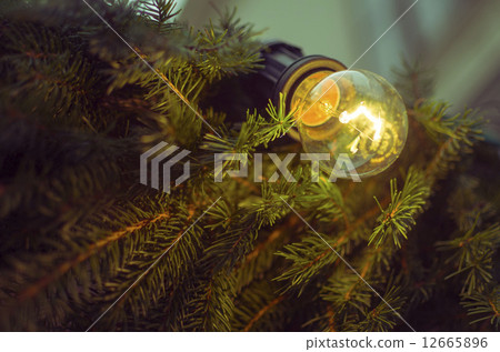 Christmas Pine Light Bulb Christmas Pine Light Bulb 12665896