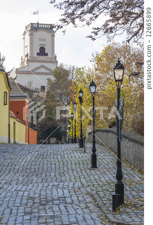 Street view in Gyor 12665899