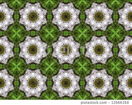 Ethnic pattern. Abstract kaleidoscope fabric design. Ethnic pattern. Abstract kaleidoscope fabric design. 12666168