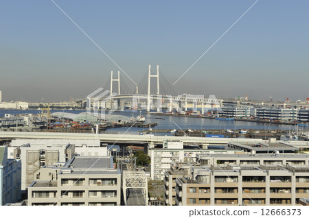 海灣大橋 海灣大橋 12666373
