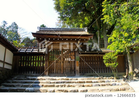 Kamigamo神社 12666835