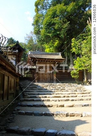 Kamigamo神社 12666836
