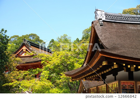 Kamigamo神社 Kamigamo神社 12666842