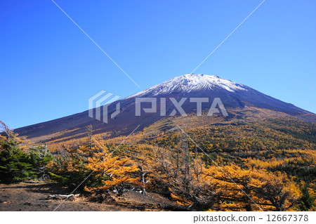 October Landscape · Mt. Fuji 599 Fuji Subaru Line · Autumn leaves in Oku-Garden 12667378