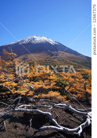 October Landscape · Mt. Fuji 598 Fuji Subaru Line · Autumn leaves in Okuwa 12667379
