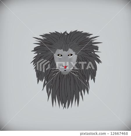 Gray lion 12667468