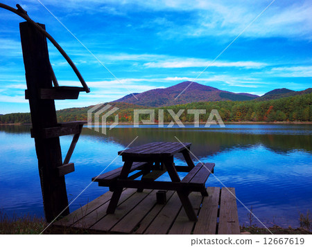 秋天的樹葉 12667619