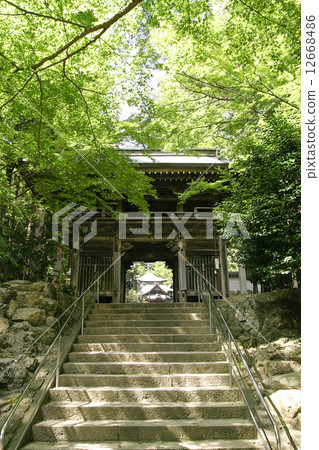 Temple Temple 12668486