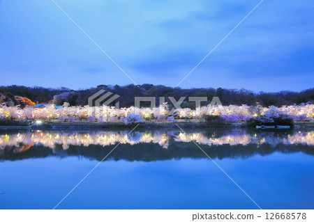 Water source Park lighting up 12668578