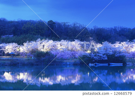 水源公園照明亮起 12668579
