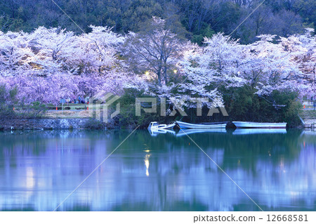 Water source Park lighting up Water source Park lighting up 12668581