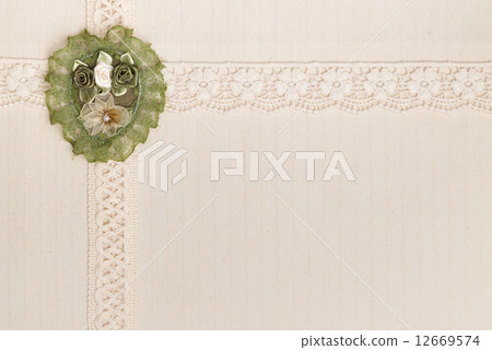 Lace 12669574