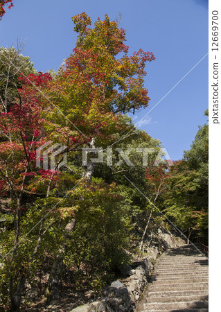 Eagonji Rausan小山秋葉 Eagonji Rausan小山秋葉 12669700