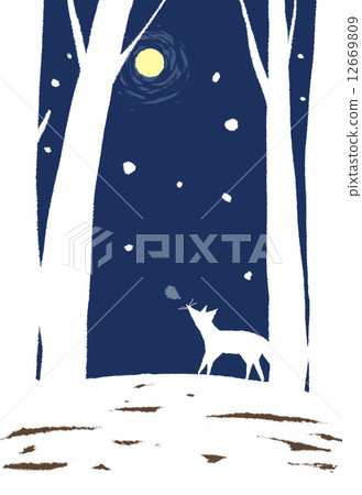 月亮和狐狸 12669809