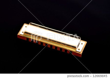 布魯斯豎琴 12669845