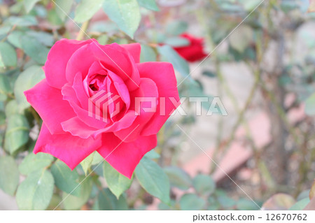 Christian Dior 12670762