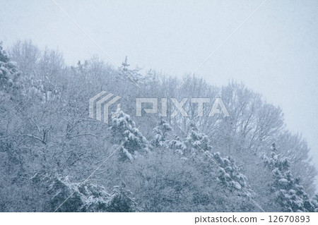 山腰的山脊 12670893