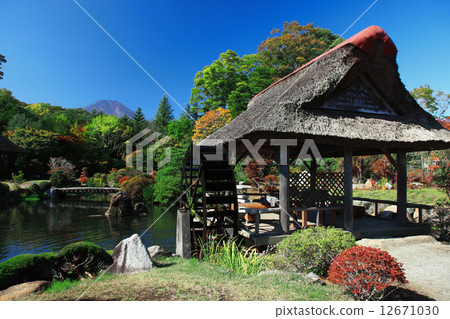 Japanese gardens and Mt. Fuji 12671030