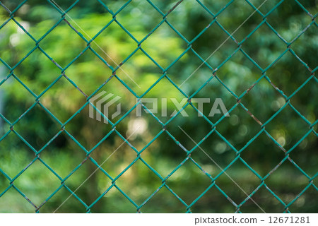Metal fence with bokeh green background 12671281