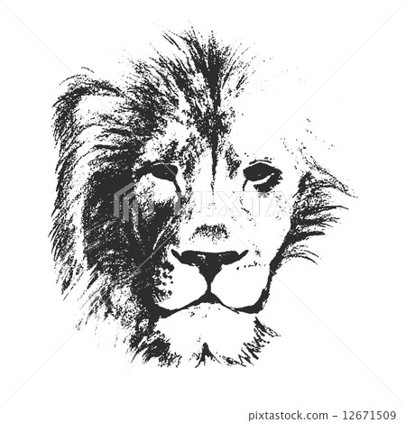 lion head. hand drawn. vector illustration 12671509