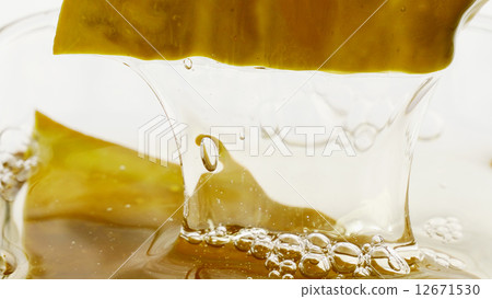 Kjellyfish Kelp 12671530