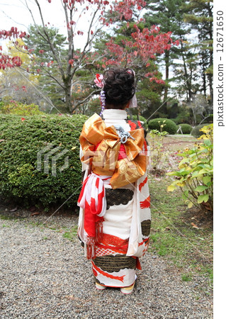 Shichigosan Kimono Rear View Shichigosan Kimono Rear View 12671650
