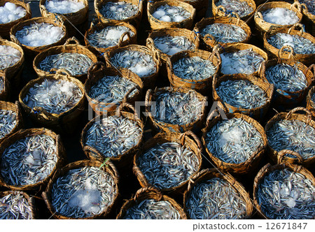 anchovy basket, material for fish sauce anchovy basket, material for fish sauce 12671847