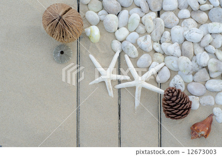 Top view of Starfishs and White Stone on Sand background Top view of Starfishs and White Stone on Sand background 12673003