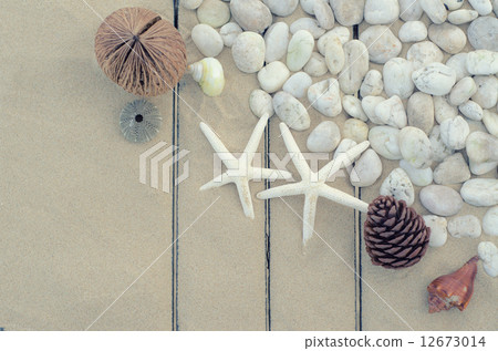 Top view of Starfishs and White Stone on Sand background Top view of Starfishs and White Stone on Sand background 12673014