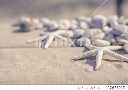 Selective Focus of Starfishs and White Stone on Sand backgroun Selective Focus of Starfishs and White Stone on Sand backgroun 12673015